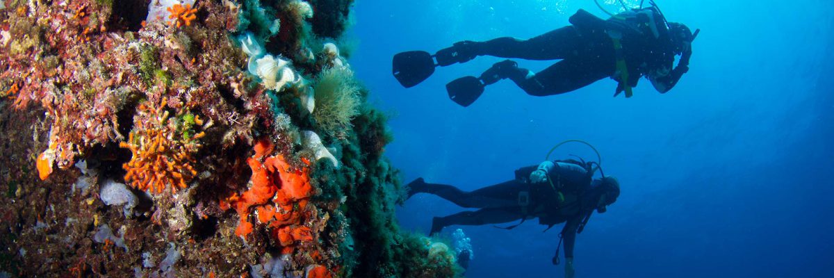 scuba diving minorca