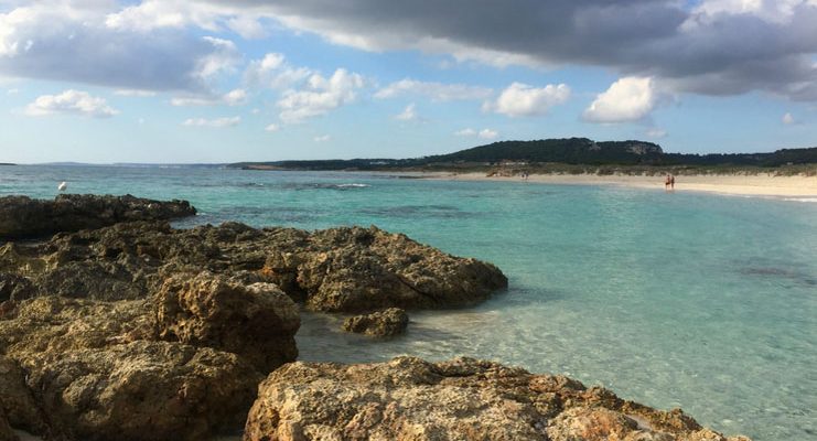 Con i suoi 2,4 chilometri di lunghezza, Son Bou è la spiaggia più estesa di Minorca