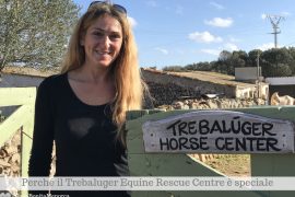 Sam Lake, inglese, è l'ideatrice del Trebaluger Equine Rescue Centre