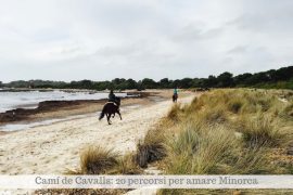 A piedi, a cavallo, in mountain-bike: ecco come percorrere il Camí de Cavalls