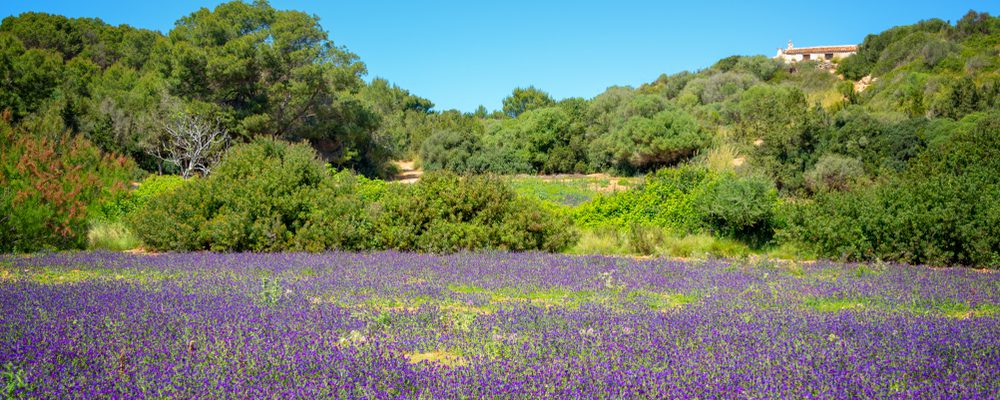 VACANZE MINORCA APRILE