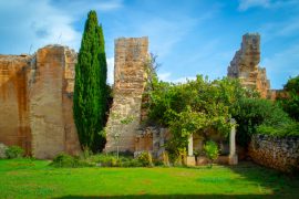 Mercato di piante officinali e aromatiche da Lithica