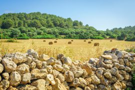 Al via a un modello più sostenibile per Minorca