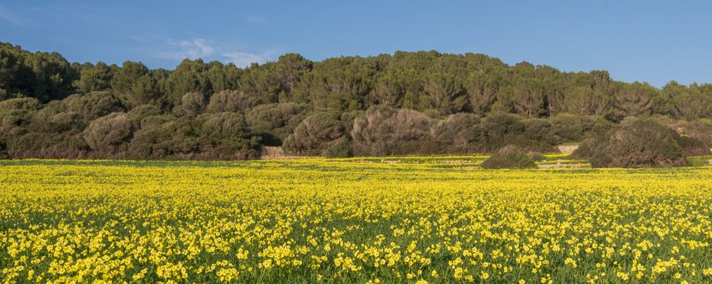 invierno en Menorca