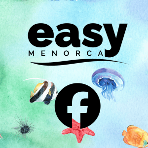 easymenorca facebook